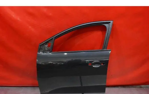 Dacia Sandero Front door 