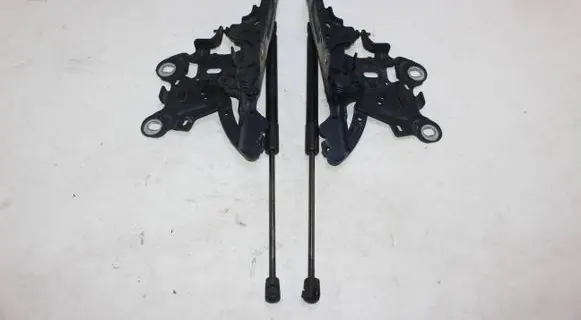 BMW X1 F48 F49 Engine bonnet/hood hinges 7329441 739442