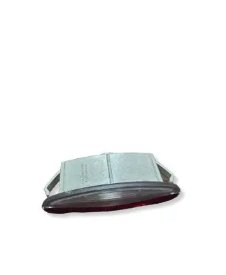 Renault Laguna II Front door interior light 8200003263A 0700900C