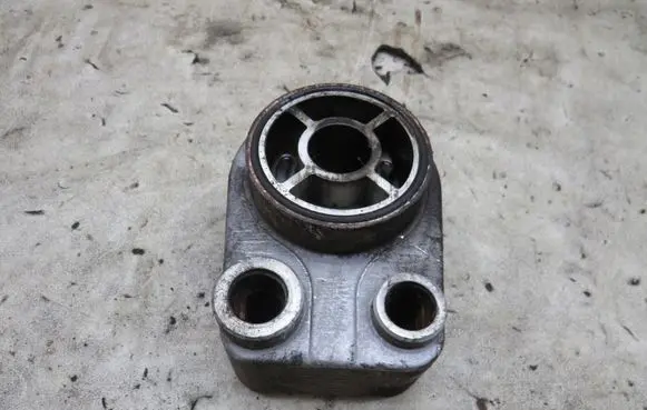 Nissan Juke I F15 Engine oil radiator GMAUTO4574097