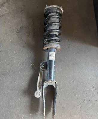 Alfa Romeo Stelvio Front shock absorber with coil spring 50551258