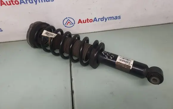 BMW X3 F25 Rear shock absorber/damper 6796317 33526796317