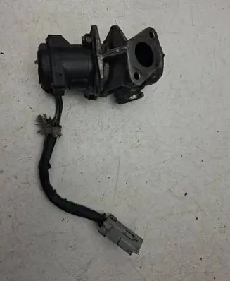EGR valve