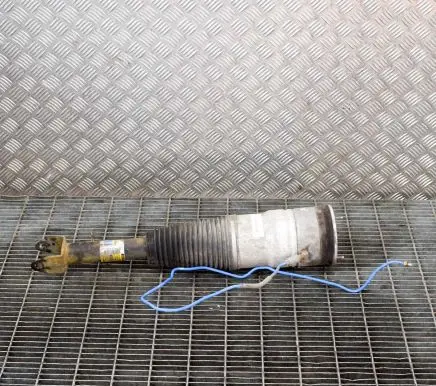 Tesla Model S Front shock absorber/damper 600635100C