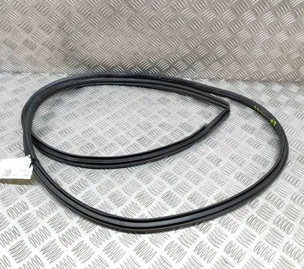 Toyota C-HR II Rubber seal front coupe door 62312F4050