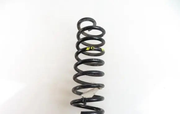 Dacia Sandero Rear coil spring 