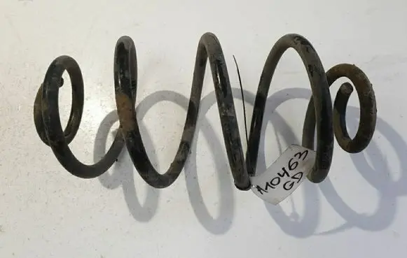 Rear coil spring
