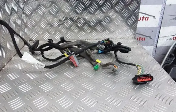 Rear door wiring loom