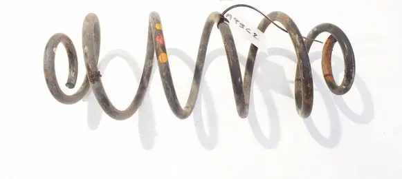 Rear coil spring