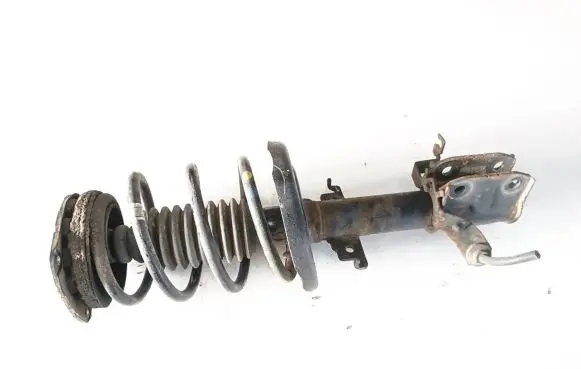 Renault Scenic III - Grand scenic III Front shock absorber with coil spring E4615001 02040734 54302264R