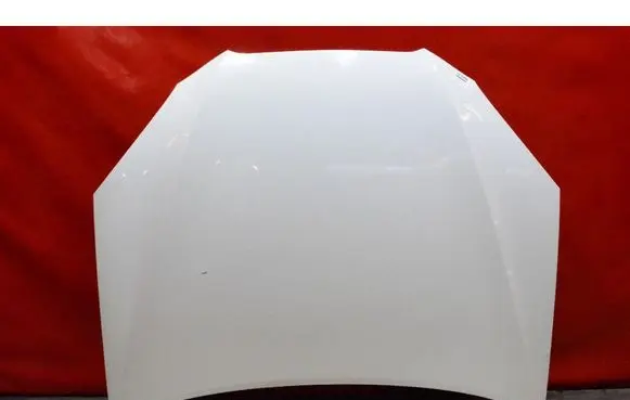 Hyundai Genesis Engine bonnet/hood 
