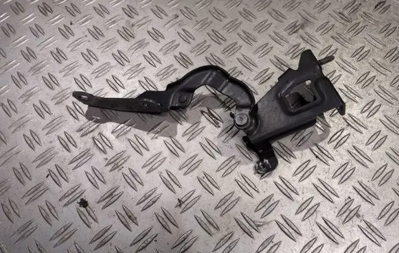 Opel Vivaro Engine bonnet/hood hinges 654010249R 93458897