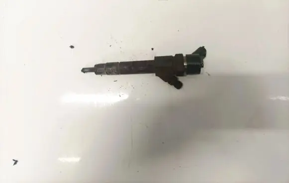 Hyundai Santa Fe Fuel injector 0445110021 7700111014