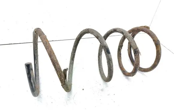 Toyota RAV 4 (XA20) Front coil spring