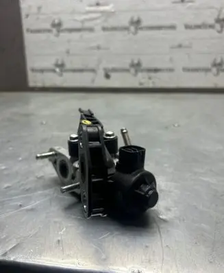 EGR valve