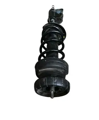 Renault Trafic II (X83) Front shock absorber/damper 8200010491