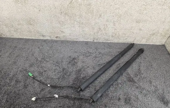 Opel Grandland X Tailgate/trunk strut/damper 9828629780 9828629680