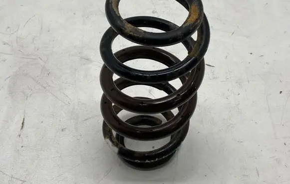 Rear coil spring