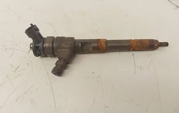 Dacia Dokker Fuel injector H8201453073 0445110652