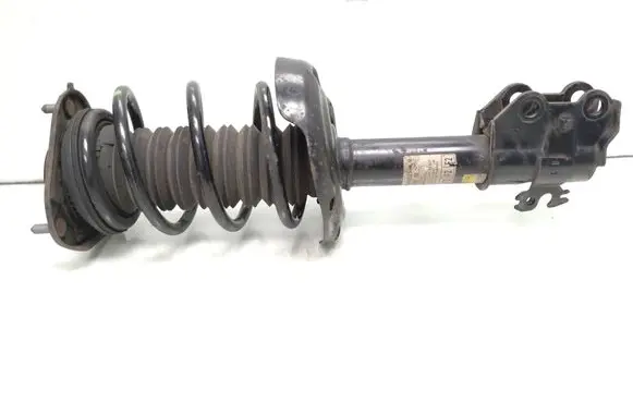 Toyota C-HR I Front shock absorber with coil spring 48510F4021