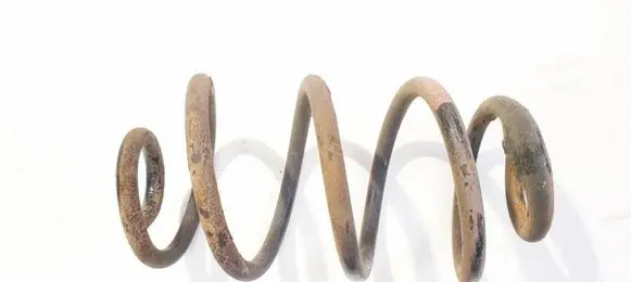 Rear coil spring
