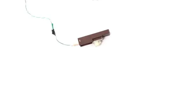Toyota Auris E180 Keyless system antenna 17310492