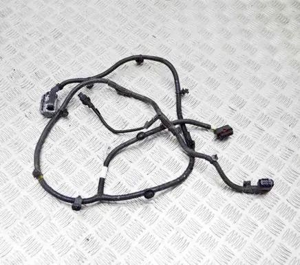 Tesla Model 3 Other wiring loom 106876901D