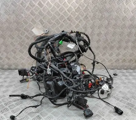 Volkswagen ID.4 Engine installation wiring loom 1EA971657 TAB016490BD
