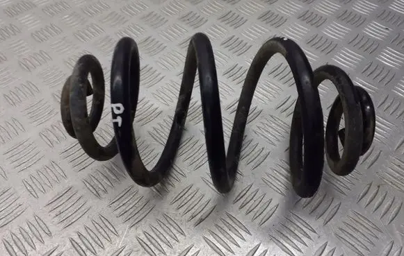 Volkswagen PASSAT B5.5 Rear coil spring
