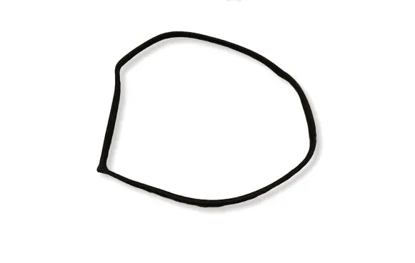 KIA Niro Rubber seal rear door 041720
