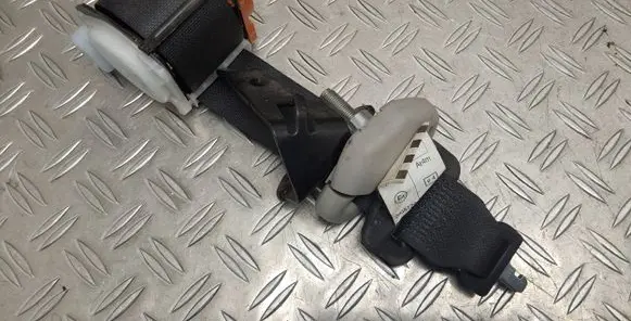 Toyota Urban Cruiser (XP110) Roof seat belt 