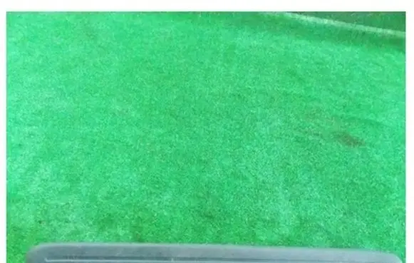 KIA Sportage Front sill trim cover