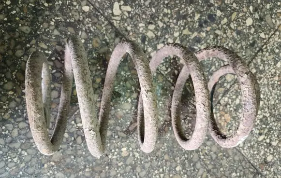 Rear coil spring