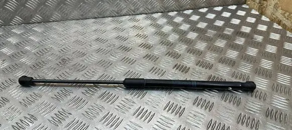 Tailgate/trunk strut/damper