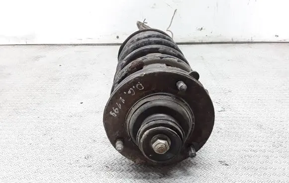 Land Rover Freelander Rear shock absorber with coil spring 