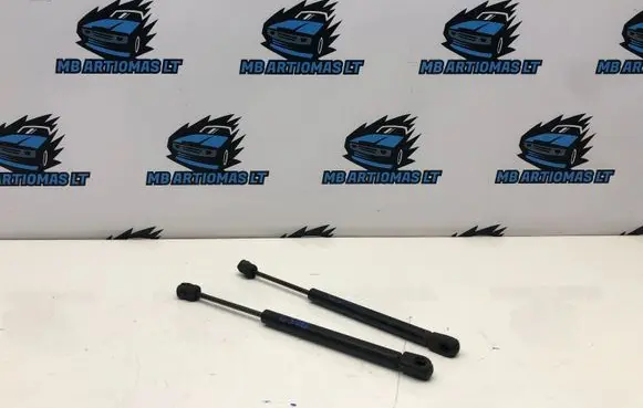 Chrysler 300 - 300C Front bonnet/hood damper/strut 04589606AA