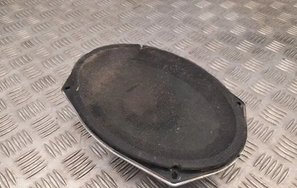Chrysler Pacifica Front door speaker 05091019AB