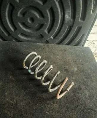 Rear coil spring