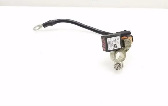 Mercedes-Benz C W204 Negative earth cable (battery) A1665420218