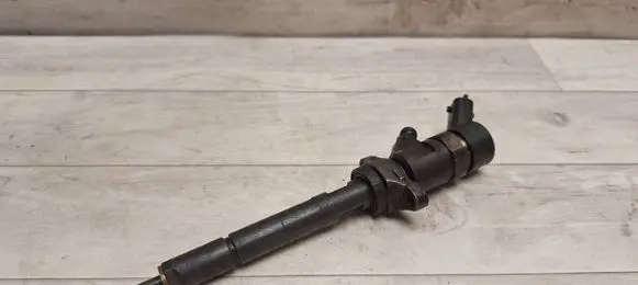 Volvo V50 Fuel injector 0445110259 328480