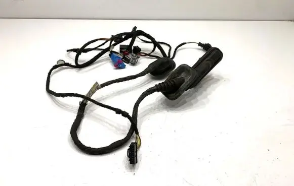 Volkswagen Sharan Front door wiring loom 7N0971120BC