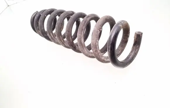 Rear coil spring