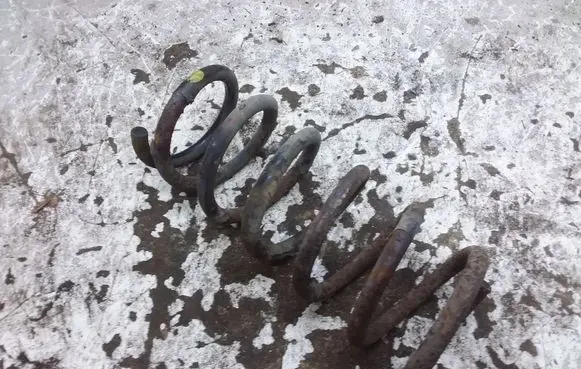 Opel Antara Rear coil spring 