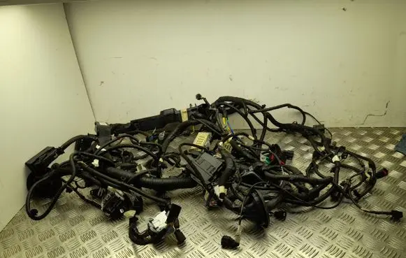 Ford Mustang Mach-E Engine installation wiring loom CNJ8T14290EBC