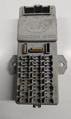 KIA Sorento Fuse module