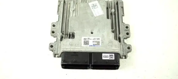 Engine control unit/module ECU