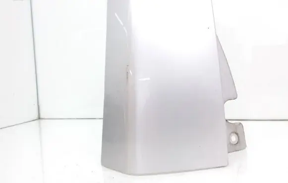 Rear/tail light trim molding