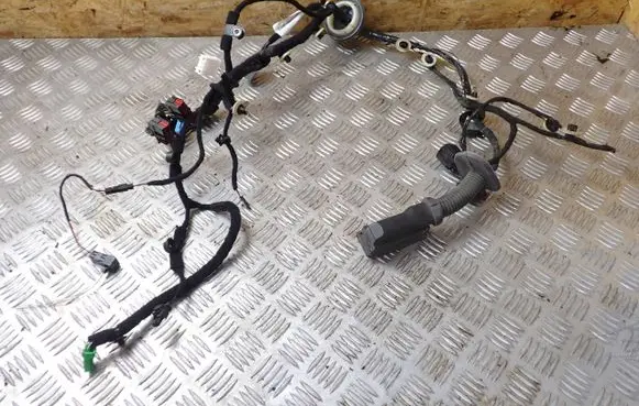 Jaguar F-Pace Front door wiring loom/harness boot HK8314631FC