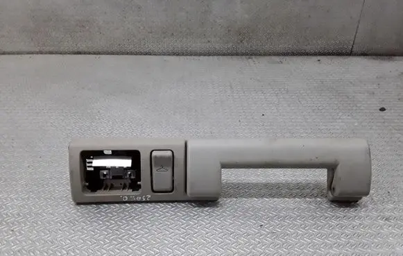 Chrysler Pacifica Rear interior roof grab handle
