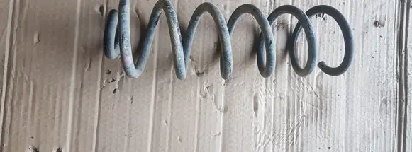 Rear coil spring
